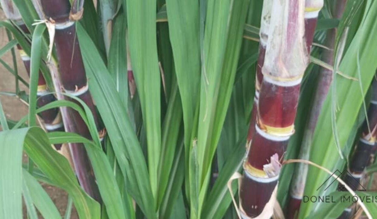 2-105