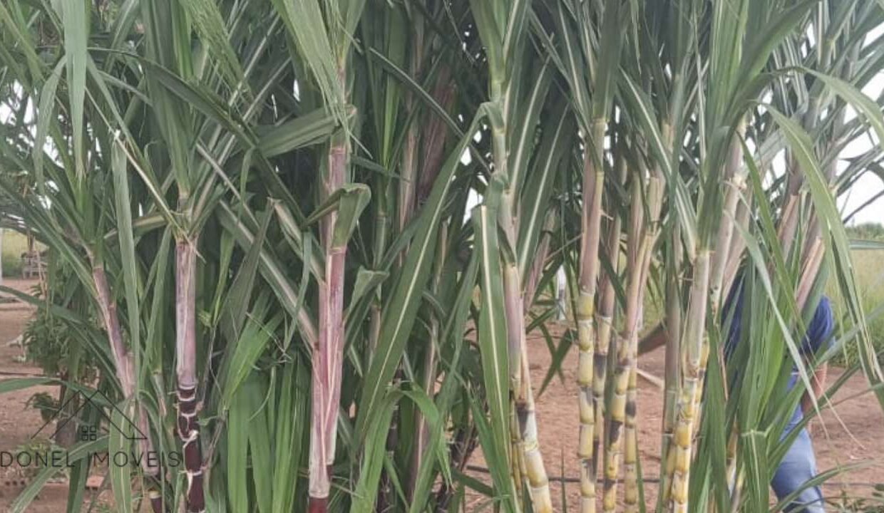 3-94