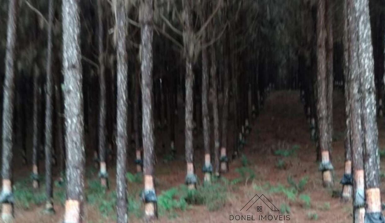 8-33