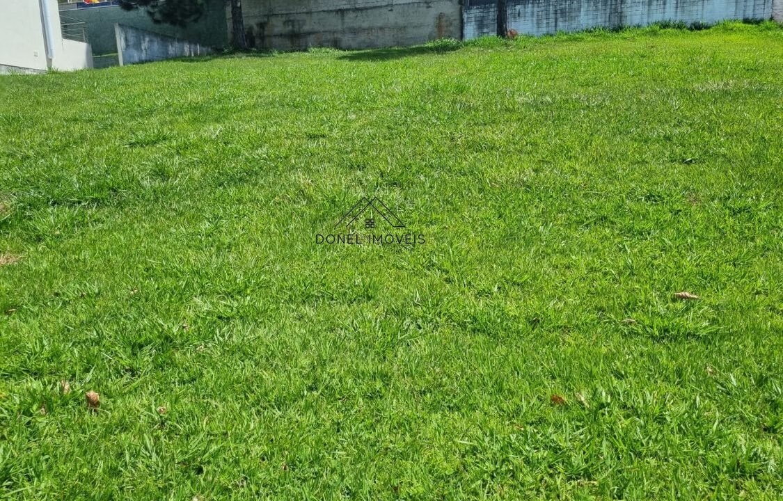 WhatsApp Image 2025-07-15 at 16.58.44