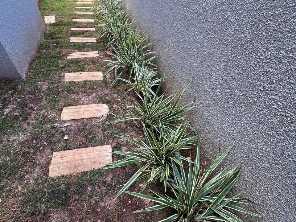 WhatsApp Image 2025-07-15 at 17.05.40