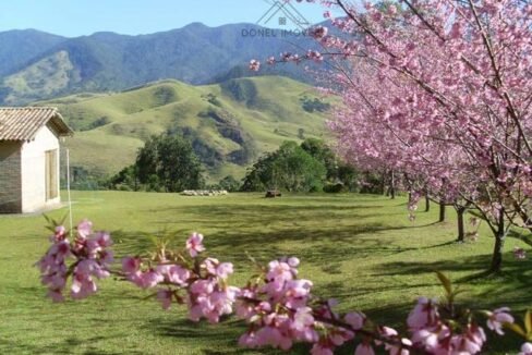 WhatsApp Image 2025-07-16 at 08.57.09 (3)