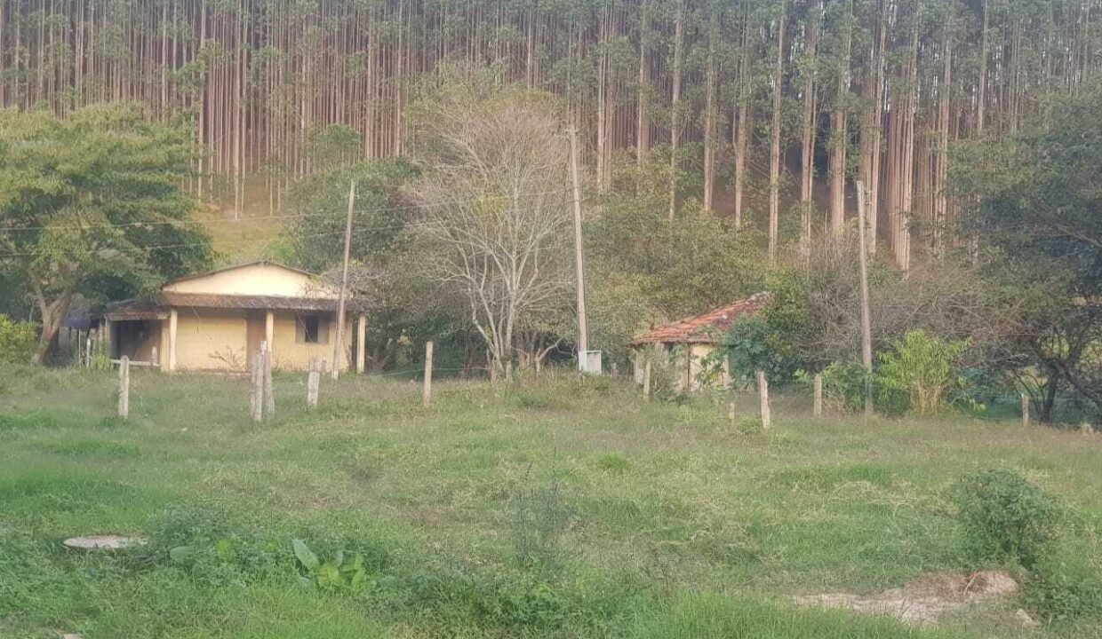 WhatsApp Image 2025-07-17 at 15.29.31