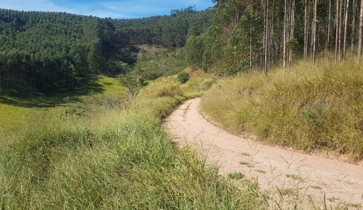 WhatsApp Image 2025-07-17 at 15.29.31 (2)