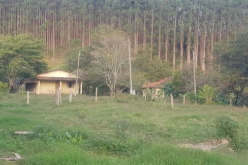 WhatsApp Image 2025-07-17 at 15.29.31