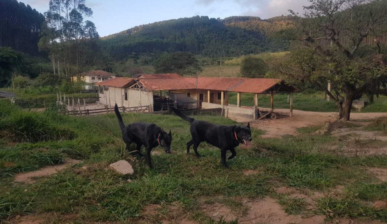 WhatsApp Image 2025-07-17 at 15.29.32 (1)