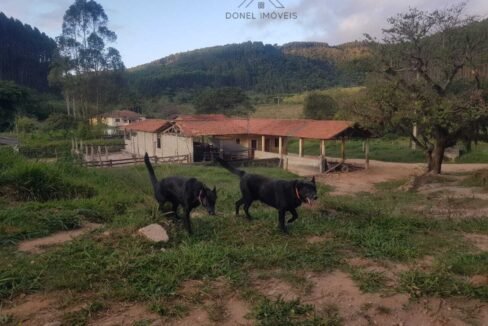 WhatsApp Image 2025-07-17 at 15.29.32 (1)