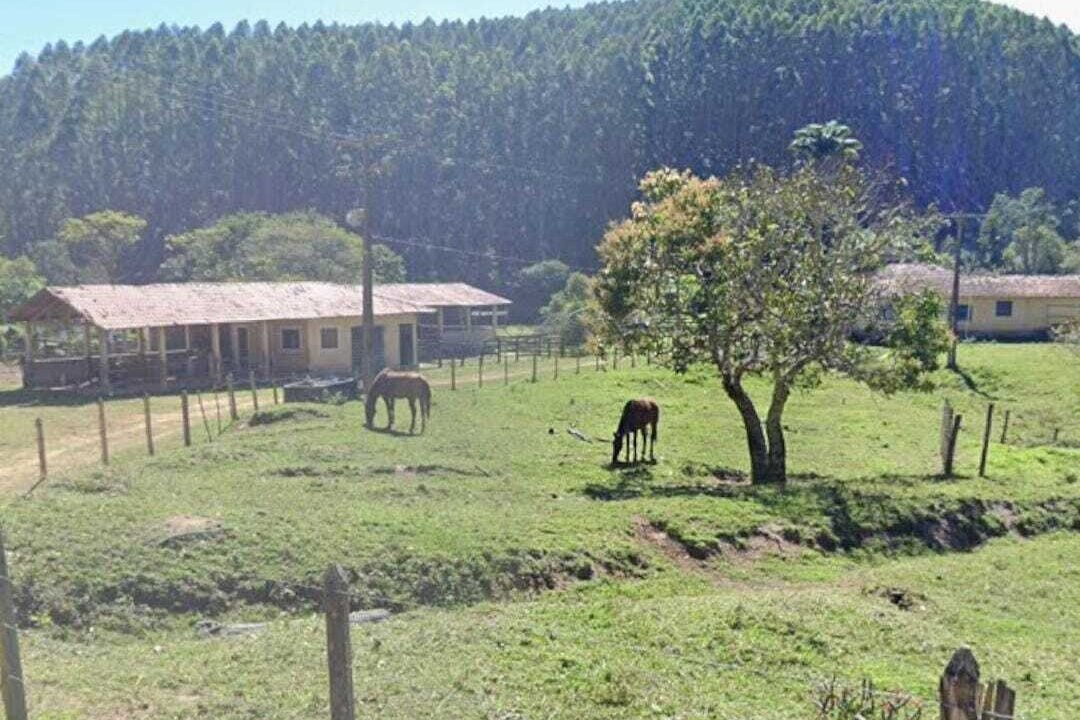 WhatsApp Image 2025-07-17 at 15.29.33 (1)