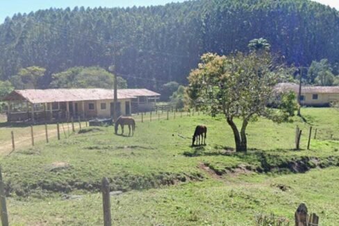 WhatsApp Image 2025-07-17 at 15.29.33 (1)