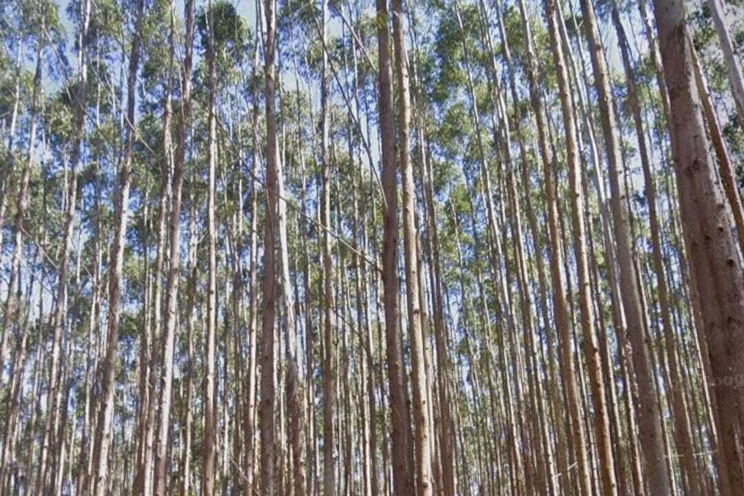 WhatsApp Image 2025-07-17 at 15.29.33 (2)