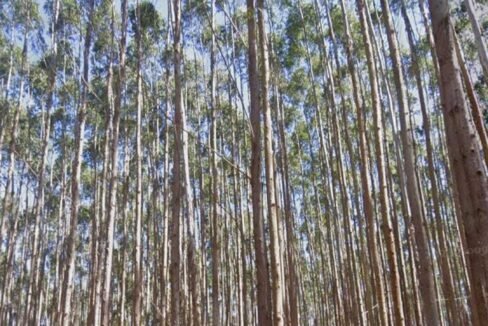 WhatsApp Image 2025-07-17 at 15.29.33 (2)