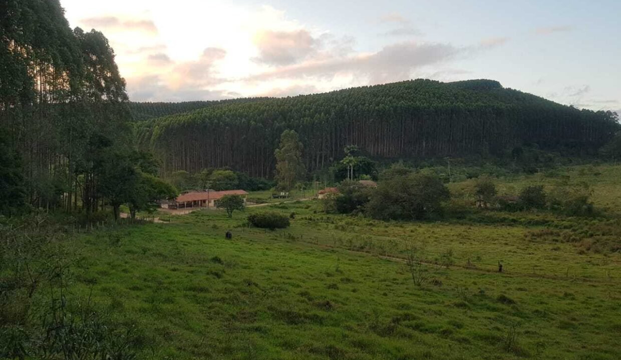 WhatsApp Image 2025-07-17 at 15.29.33 (3)