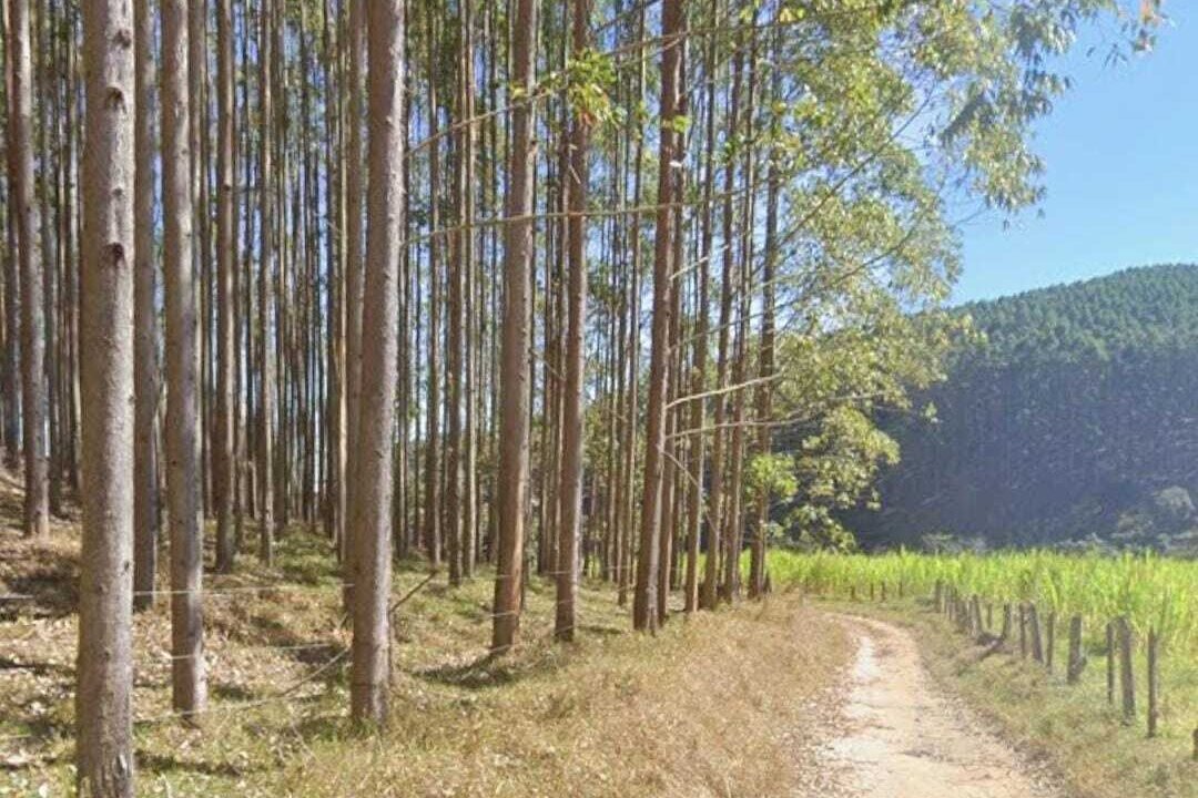 WhatsApp Image 2025-07-17 at 15.29.34 (1)