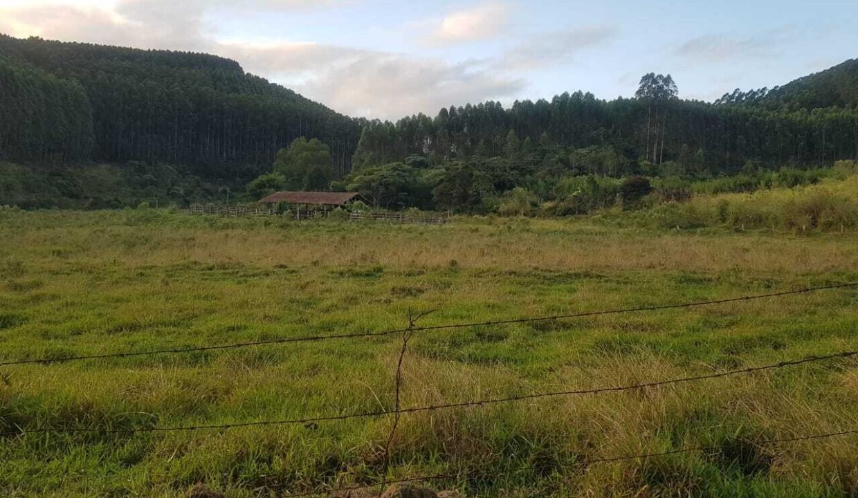 WhatsApp Image 2025-07-17 at 15.29.34 (2)