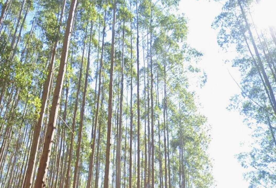 WhatsApp Image 2025-07-17 at 15.29.34 (4)