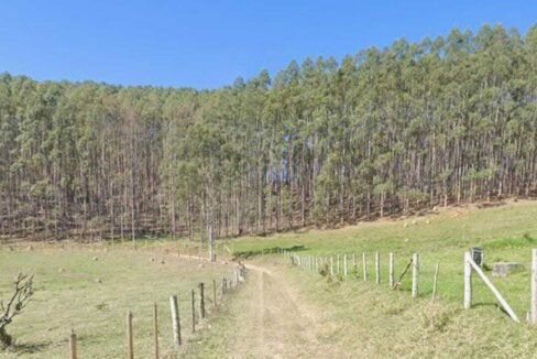 WhatsApp Image 2025-07-17 at 15.29.34