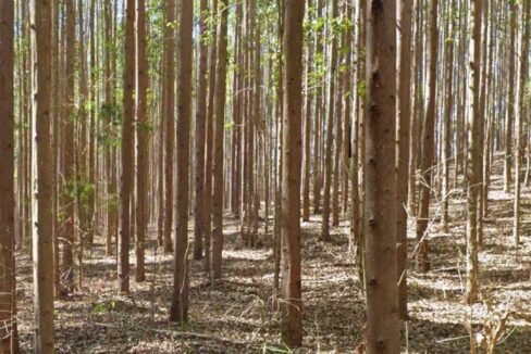 WhatsApp Image 2025-07-17 at 15.29.35 (1)