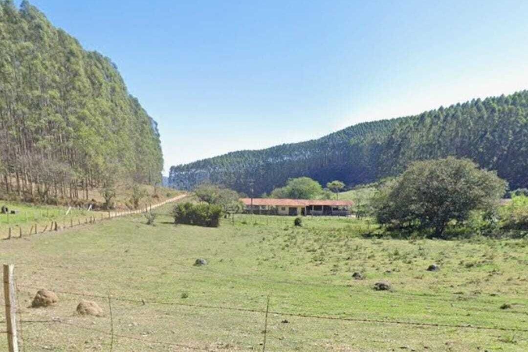 WhatsApp Image 2025-07-17 at 15.29.35