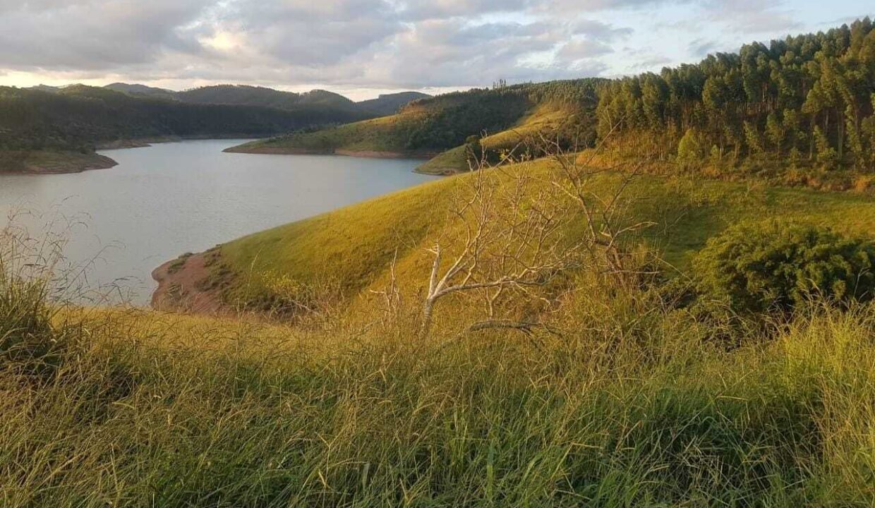 WhatsApp Image 2025-07-17 at 15.29.35 (2)