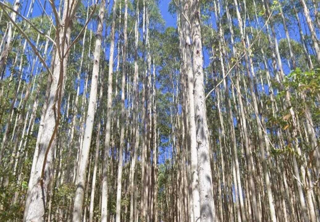 WhatsApp Image 2025-07-17 at 15.29.35 (3)