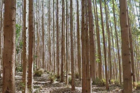 WhatsApp Image 2025-07-17 at 15.29.36 (1)