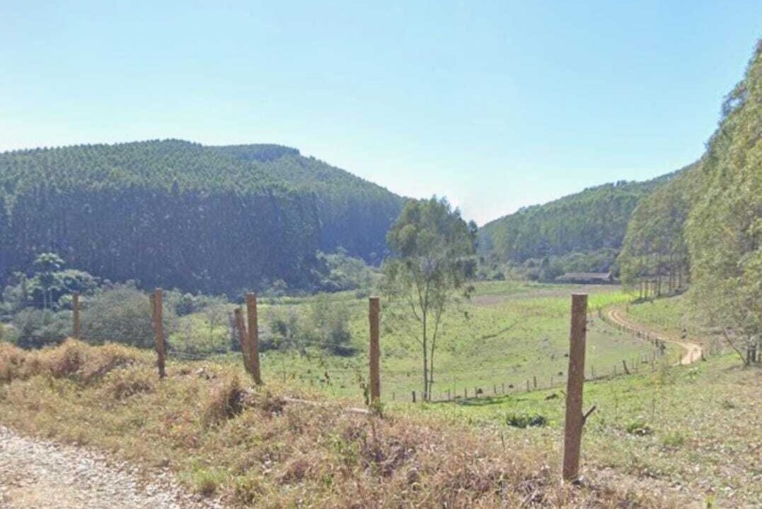 WhatsApp Image 2025-07-17 at 15.29.36