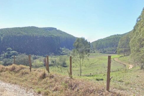 WhatsApp Image 2025-07-17 at 15.29.36