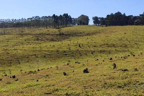 WhatsApp Image 2025-07-18 at 09.45.28 (1)