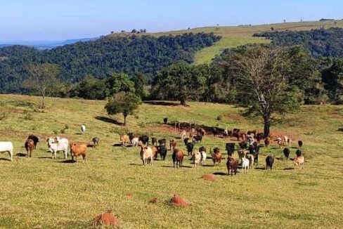 WhatsApp Image 2025-07-18 at 09.45.28 (2)