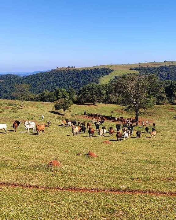 WhatsApp Image 2025-07-18 at 09.45.28 (2)