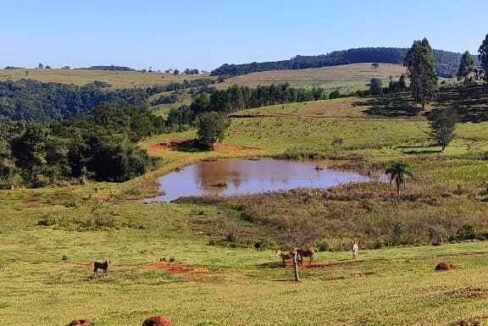 WhatsApp Image 2025-07-18 at 09.45.29 (2)