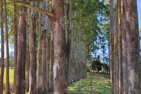 WhatsApp Image 2025-07-18 at 09.45.29