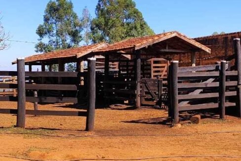 WhatsApp Image 2025-07-18 at 09.45.30 (1)