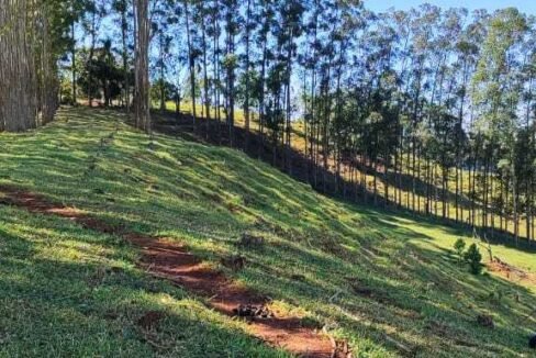 WhatsApp Image 2025-07-18 at 09.45.30