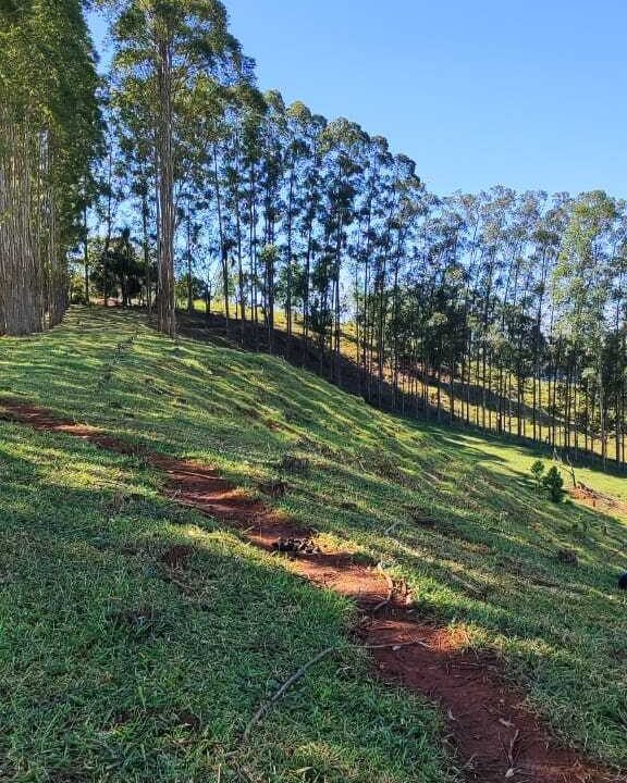 WhatsApp Image 2025-07-18 at 09.45.30