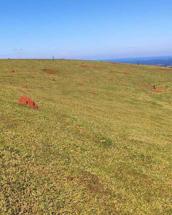 WhatsApp Image 2025-07-18 at 09.45.31 (1)