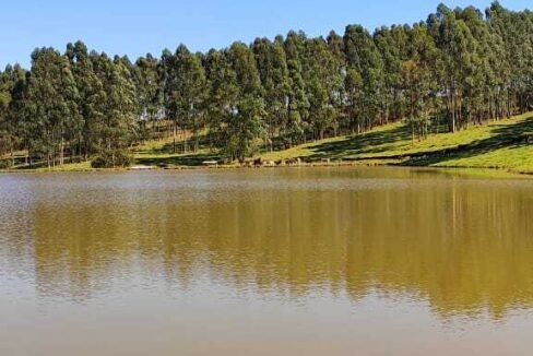 WhatsApp Image 2025-07-18 at 09.45.33 (2)