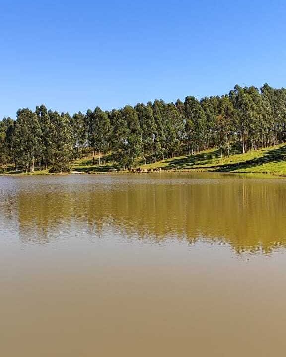 WhatsApp Image 2025-07-18 at 09.45.33 (2)