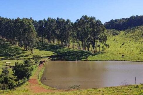 WhatsApp Image 2025-07-18 at 09.45.34