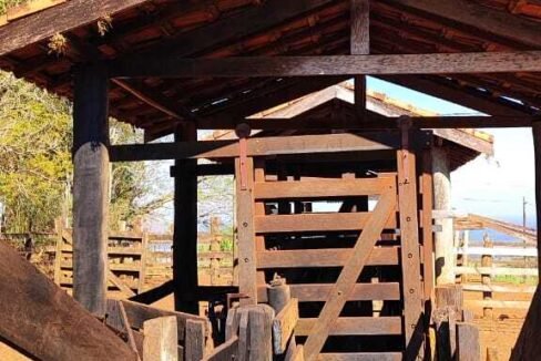 WhatsApp Image 2025-07-18 at 09.45.35 (1)