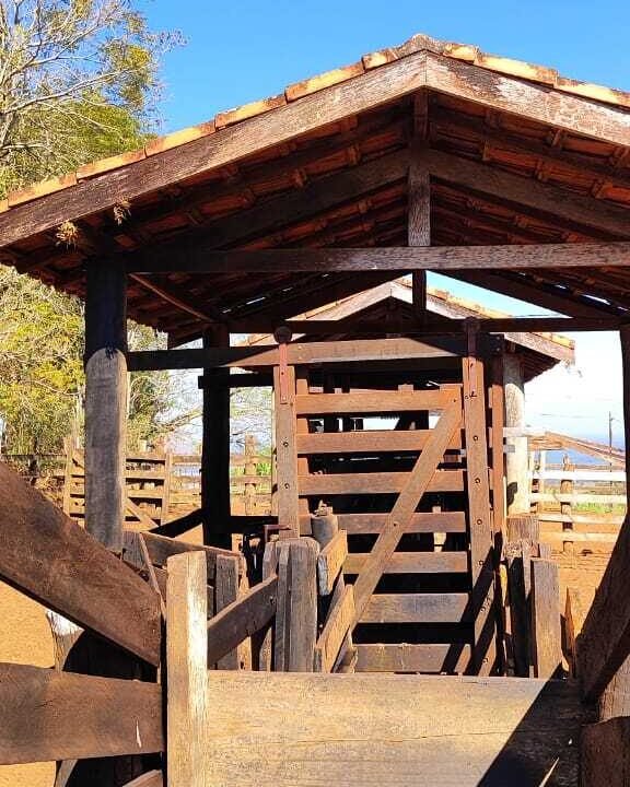 WhatsApp Image 2025-07-18 at 09.45.35 (1)