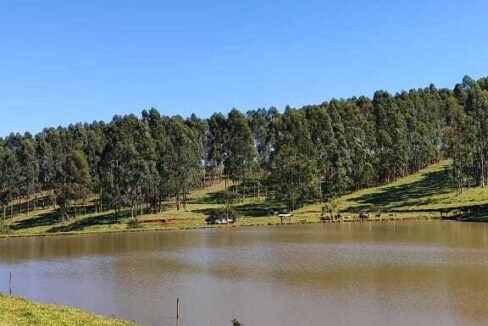 WhatsApp Image 2025-07-18 at 09.45.35