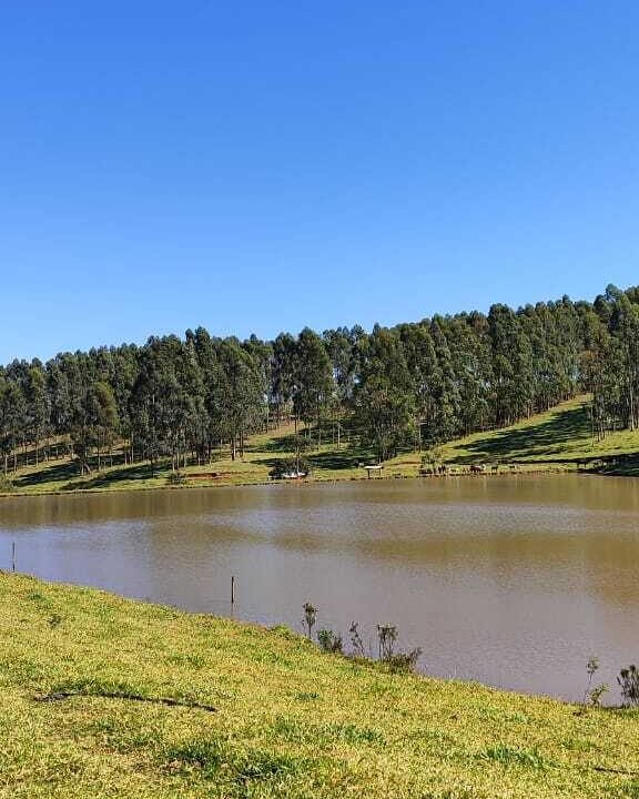 WhatsApp Image 2025-07-18 at 09.45.35