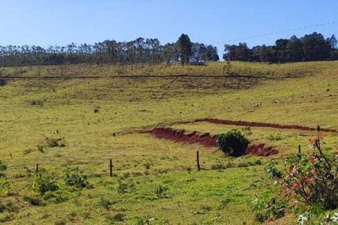 WhatsApp Image 2025-07-18 at 09.45.36 (1)