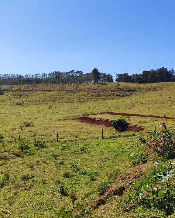 WhatsApp Image 2025-07-18 at 09.45.36 (1)