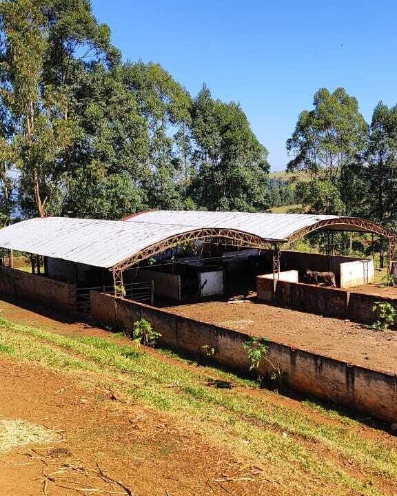 WhatsApp Image 2025-07-18 at 09.45.36