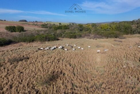 WhatsApp Image 2025-07-22 at 09.42.36 (2)