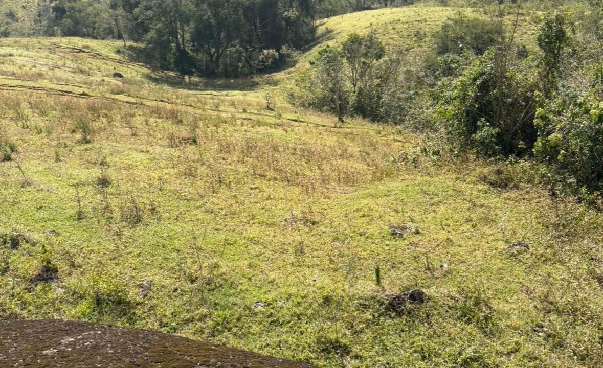 WhatsApp Image 2025-07-22 at 20.26.19