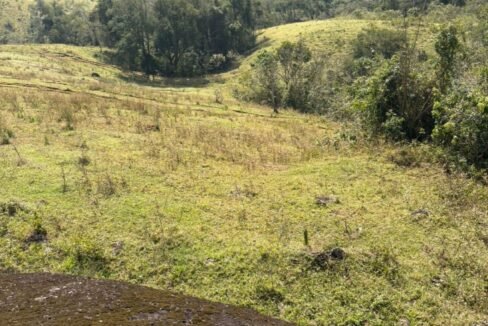 WhatsApp Image 2025-07-22 at 20.26.19