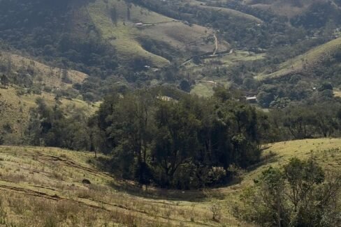 WhatsApp Image 2025-07-22 at 20.26.20